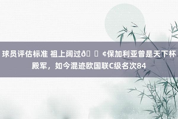 球员评估标准 祖上阔过😢保加利亚曾是天下杯殿军，如今混迹欧国联C级名次84