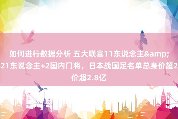 如何进行数据分析 五大联赛11东说念主&旅欧21东说念主+2国内门将，日本战国足名单总身价超2.8亿