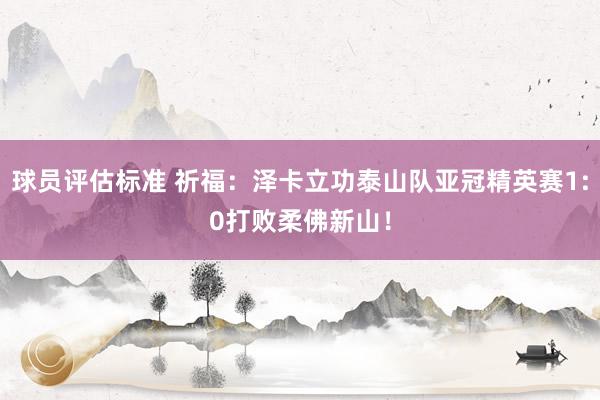 球员评估标准 祈福：泽卡立功泰山队亚冠精英赛1:0打败柔佛新山！