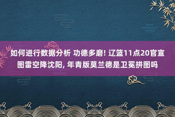 如何进行数据分析 功德多磨! 辽篮11点20官宣图雷空降沈阳, 年青版莫兰德是卫冕拼图吗