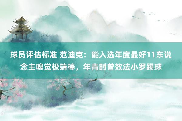 球员评估标准 范迪克：能入选年度最好11东说念主嗅觉极端棒，年青时曾效法小罗踢球