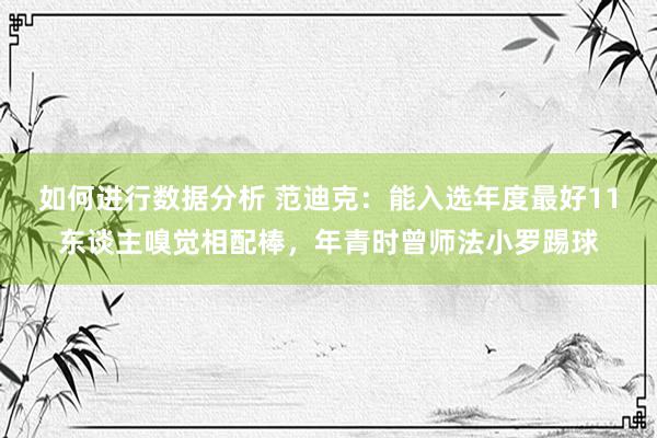 如何进行数据分析 范迪克：能入选年度最好11东谈主嗅觉相配棒，年青时曾师法小罗踢球