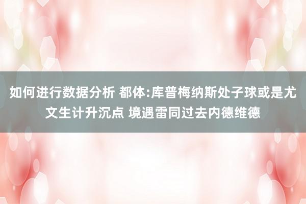 如何进行数据分析 都体:库普梅纳斯处子球或是尤文生计升沉点 境遇雷同过去内德维德