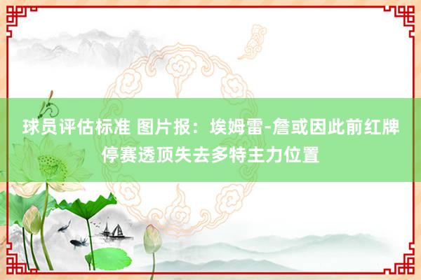 球员评估标准 图片报：埃姆雷-詹或因此前红牌停赛透顶失去多特主力位置