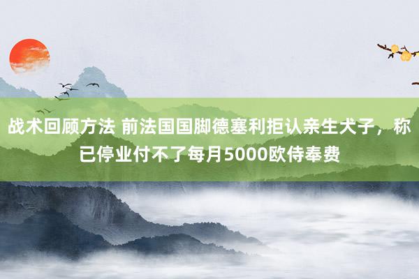 战术回顾方法 前法国国脚德塞利拒认亲生犬子，称已停业付不了每月5000欧侍奉费