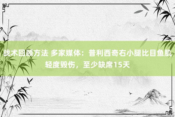 战术回顾方法 多家媒体：普利西奇右小腿比目鱼肌轻度毁伤，至少缺席15天