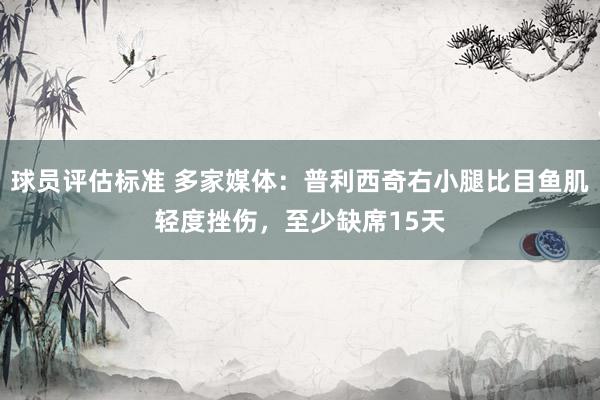 球员评估标准 多家媒体：普利西奇右小腿比目鱼肌轻度挫伤，至少缺席15天