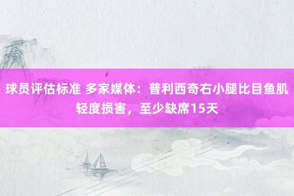 球员评估标准 多家媒体：普利西奇右小腿比目鱼肌轻度损害，至少缺席15天