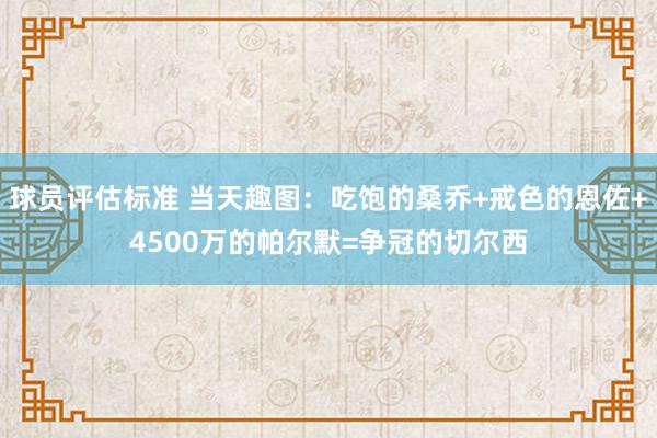 球员评估标准 当天趣图：吃饱的桑乔+戒色的恩佐+4500万的帕尔默=争冠的切尔西