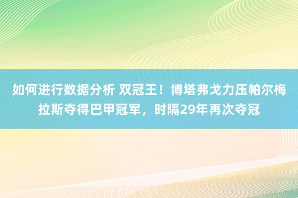 如何进行数据分析 双冠王！博塔弗戈力压帕尔梅拉斯夺得巴甲冠军，时隔29年再次夺冠