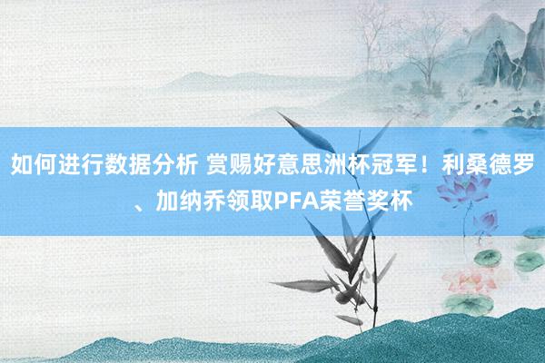 如何进行数据分析 赏赐好意思洲杯冠军！利桑德罗、加纳乔领取PFA荣誉奖杯