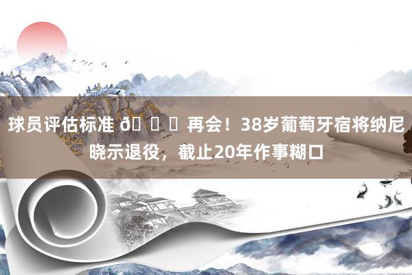 球员评估标准 👋再会！38岁葡萄牙宿将纳尼晓示退役，截止20年作事糊口