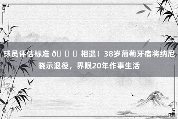 球员评估标准 👋相遇！38岁葡萄牙宿将纳尼晓示退役，界限20年作事生活