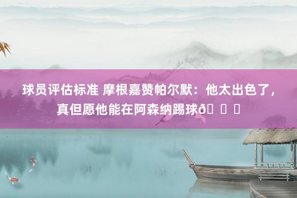 球员评估标准 摩根嘉赞帕尔默：他太出色了，真但愿他能在阿森纳踢球👍