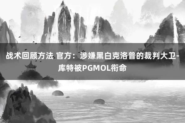 战术回顾方法 官方：涉嫌黑白克洛普的裁判大卫-库特被PGMOL衔命