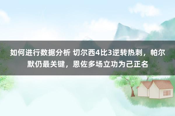 如何进行数据分析 切尔西4比3逆转热刺，帕尔默仍最关键，恩佐多场立功为己正名